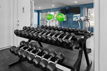 Updated 24-hour fitness center at three oaks apartments in troy, mi.